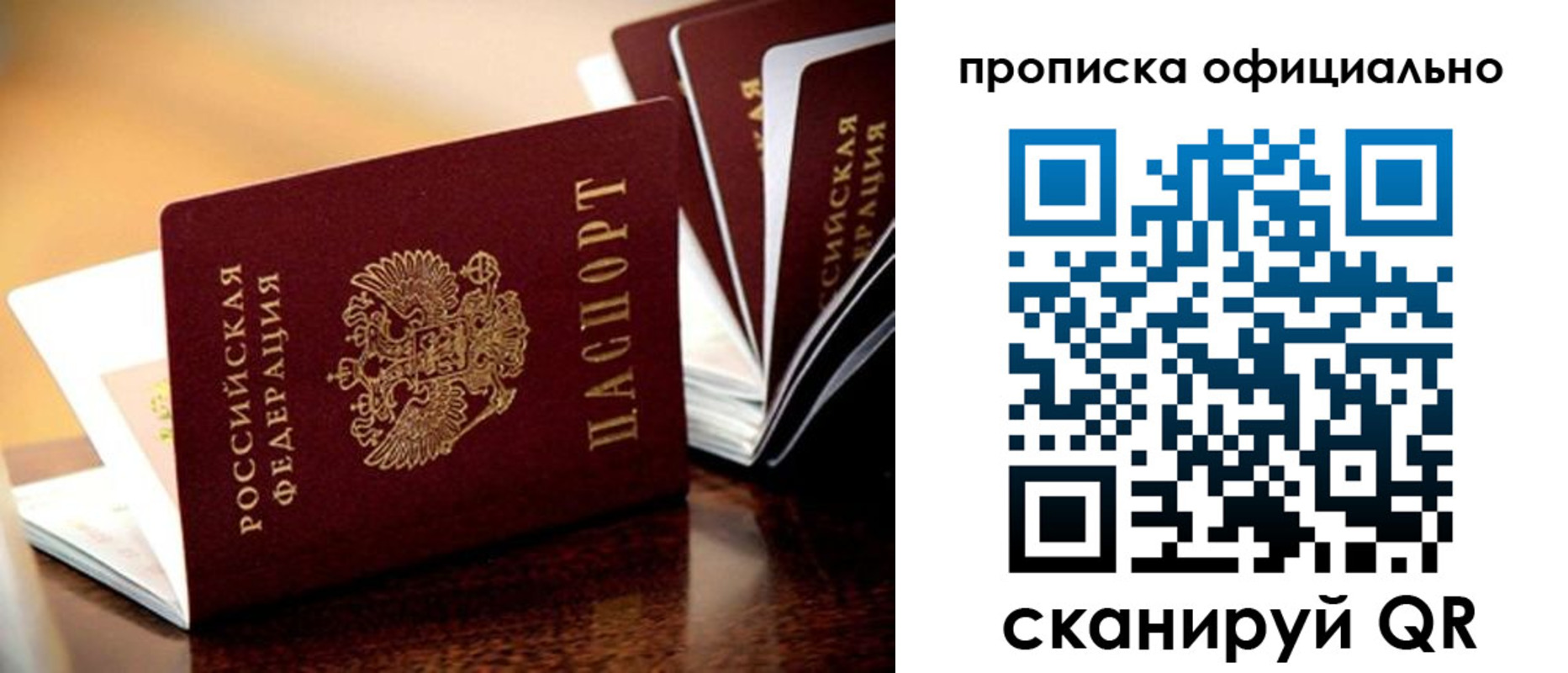 прописка в квартире в Курской области